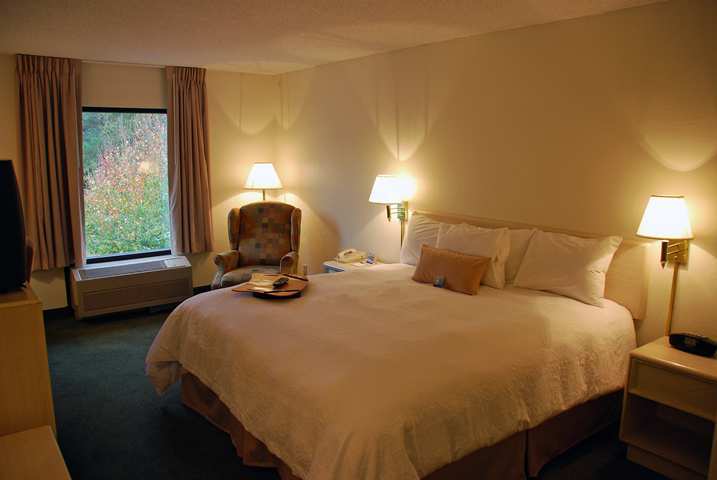 Jameson Inn Of The Golden Isles- Брансвік Номер фото